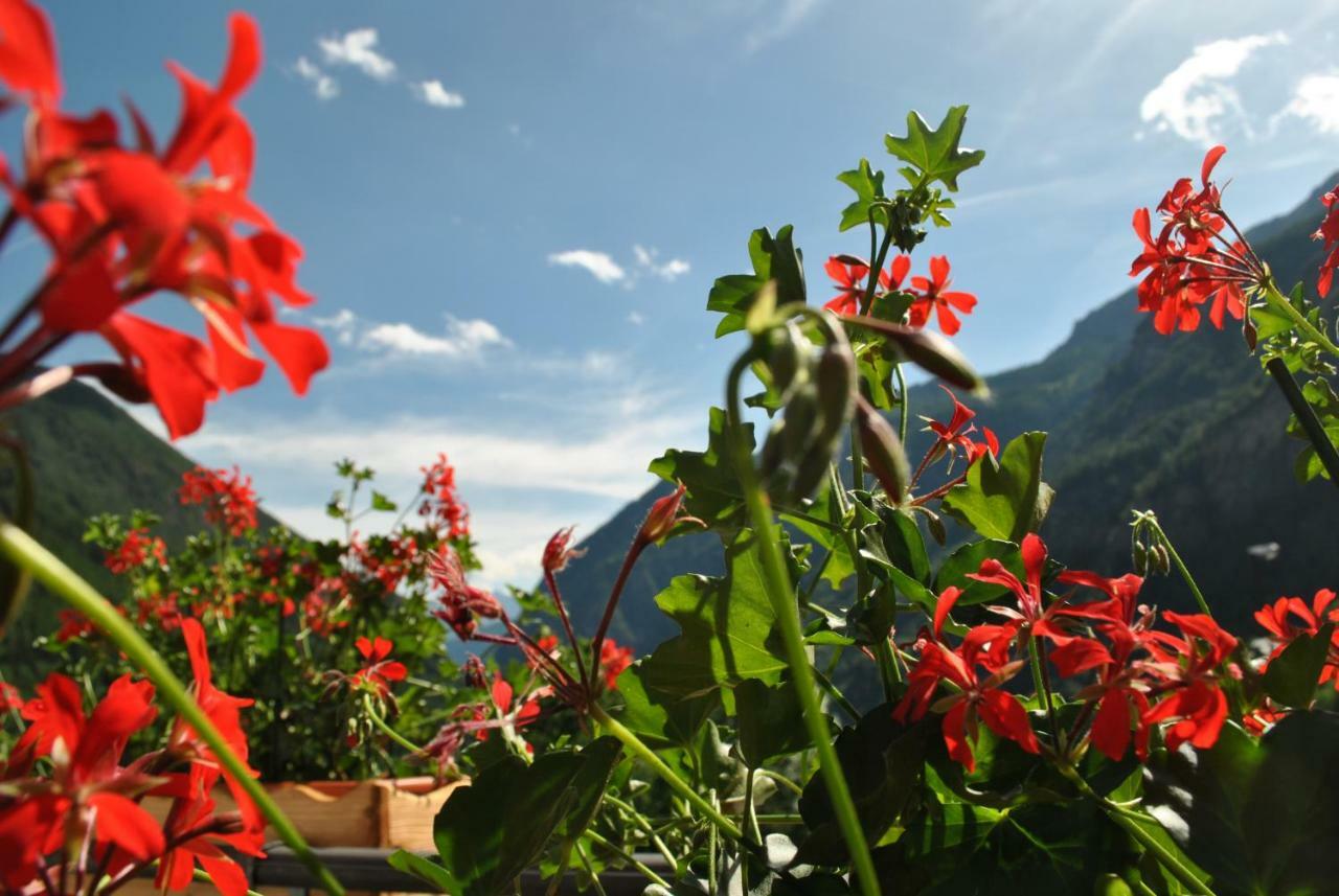 Hotell Millefiori- Alpine Event Lodge ヴァルトゥルナンシュ エクステリア 写真